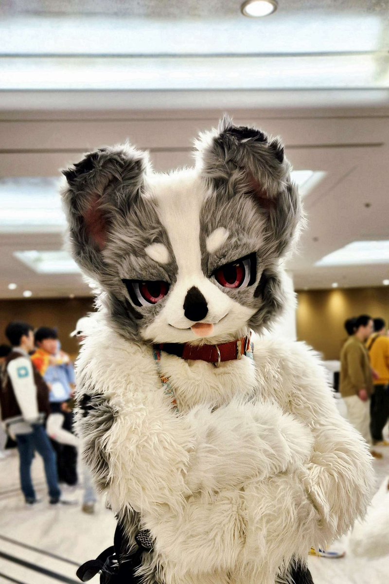 nextdia_art's tweet image. 베르디!!  귀엽고 멋짐이 공존해요 #Furstclass
@Lamp_sOul