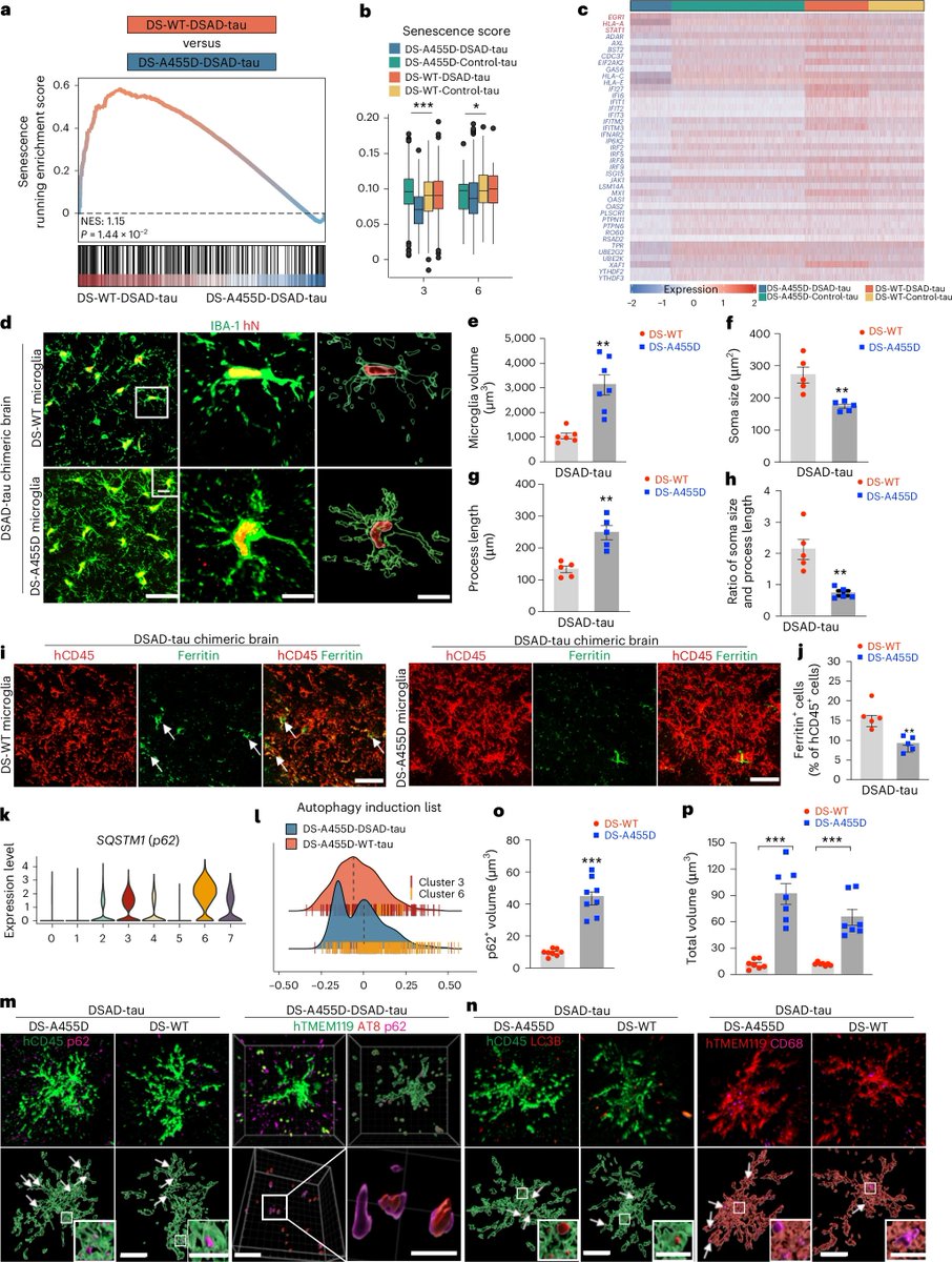 John Lukens tweet media