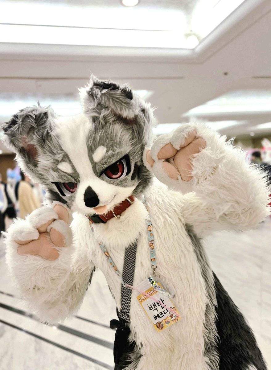 nextdia_art's tweet image. 베르디!!  귀엽고 멋짐이 공존해요 #Furstclass
@Lamp_sOul