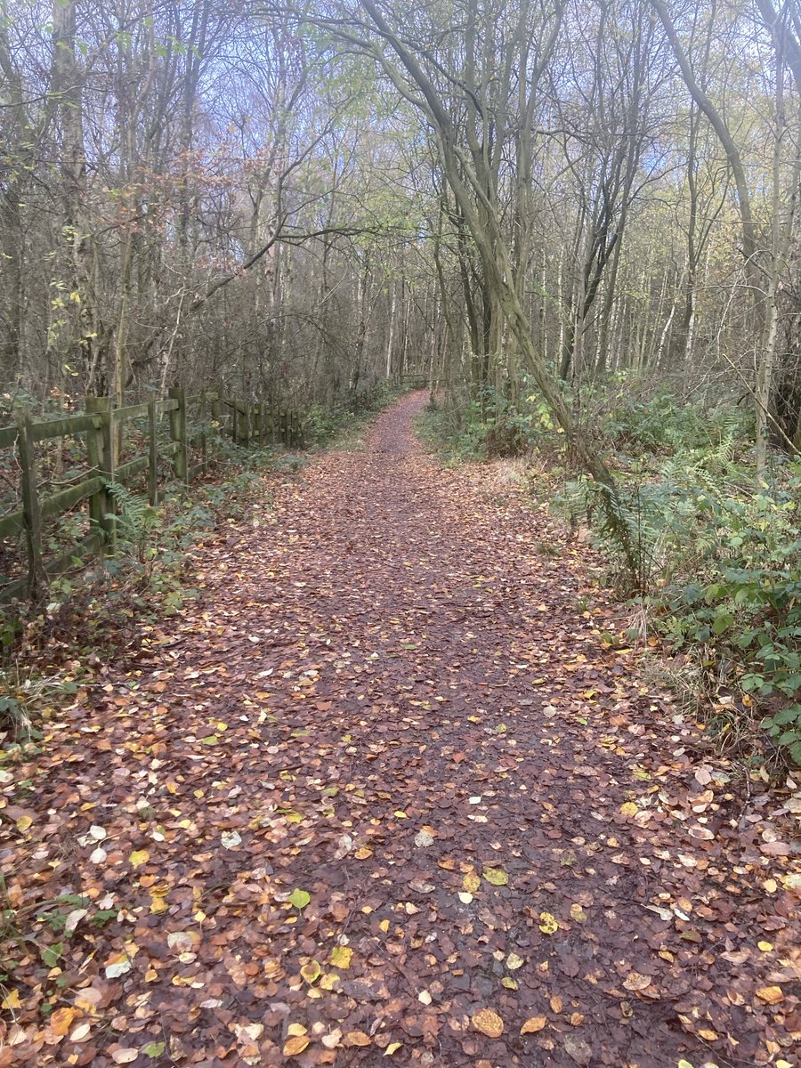 Nothing is much better than a walk in Nature , even on a cold Autumnal day, especially in North West Leicestershire. It clears the mind and reinvigorates the body.