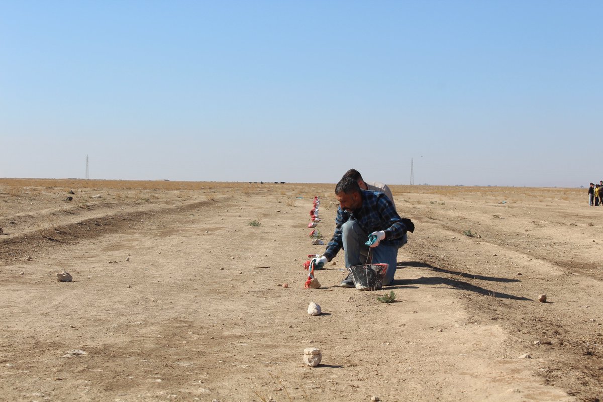 ITFsi's tweet image. A new phase of ITF’s humanitarian #MineAction efforts has launched in Northeast #Syria, supported by @francediplo 🇫🇷.

This stage reduces the threat of explosive hazards through NTS, TS, clearance &amp;amp; #EORE - helping communities regain safe access to their land. 🌾🏘️