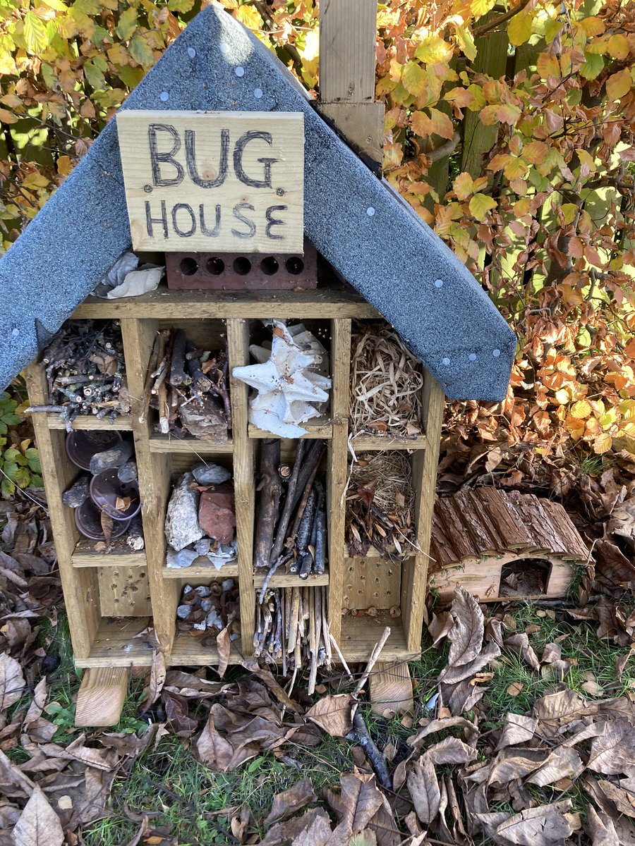 St Werburgh’s and St Columba’s CPS tweet media