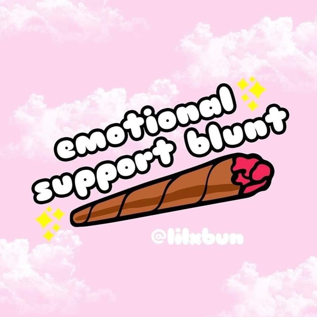 OneLoveDelivery's tweet photo. #DCWeed #DCdelivery #Onelovedelivery #cannabisculture https://t.co/o61CSqTQIj