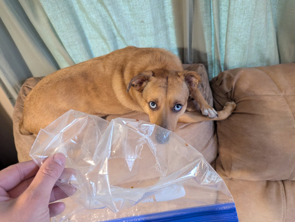 Andrew Fischer tweet media