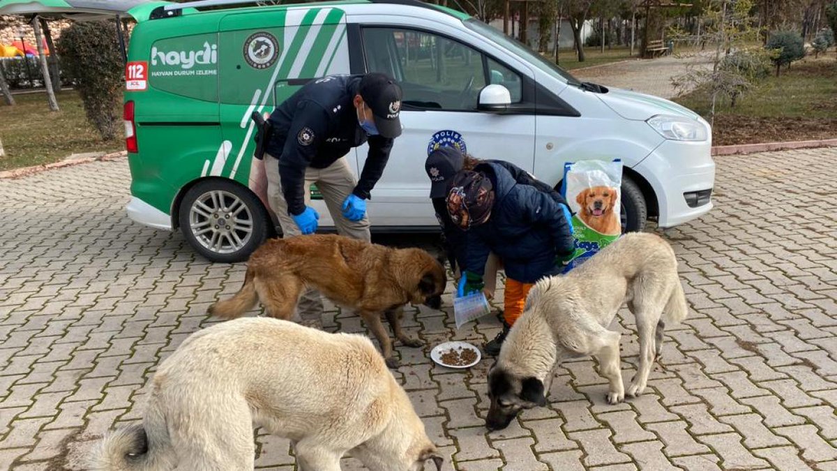 GuvenliSokaklar's tweet image. 🚨 | #SONDAKİKA HAYDİ UYGULAMASINA SON VERİLİYOR!

İçişleri Bakanlığı bünyesinde faaliyet gösteren Haydi olarak da bilinen Çevre Doğa ve Hayvanları Koruma Şube Müdürlüğü&apos;nün kapatılmasına karar verildi.

Canımızı emanet ettiğimiz emniyet birimleri, evlatlarımıza başıboş köpek…