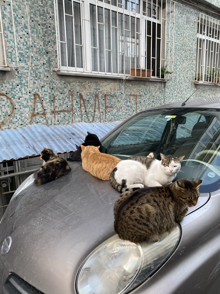 Car meeting