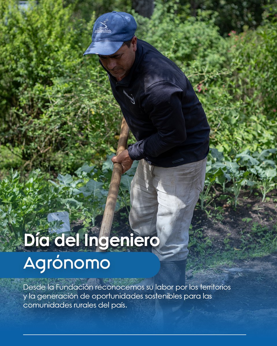 Hoy celebramos el #DíadelIngenieroAgrónomo,👩‍🌾  reconociendo su labor, donde los territorios avanzan hacia modelos más sostenibles, las unidades productivas se fortalecen y acompaña a los pequeños productores en la construcción de nuevas oportunidades.
