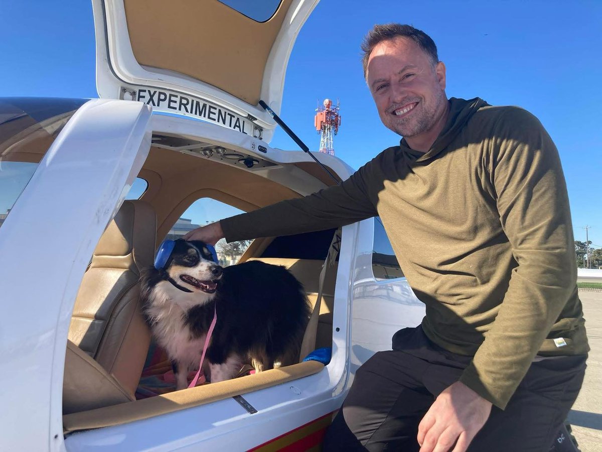PilotsNPaws's tweet photo. From #AustralianShepherdsFurever: Say hi &amp; welcome to Valentina. She came from the Salinas, CA shelter as a repeat offender for being loose &amp; picked up by animal control. She was urgent in the shelter &amp; amazing people stepped up &amp; we pulled this girl. Thx PNP &amp; all who saved her https://t.co/3H0G8Lovmq