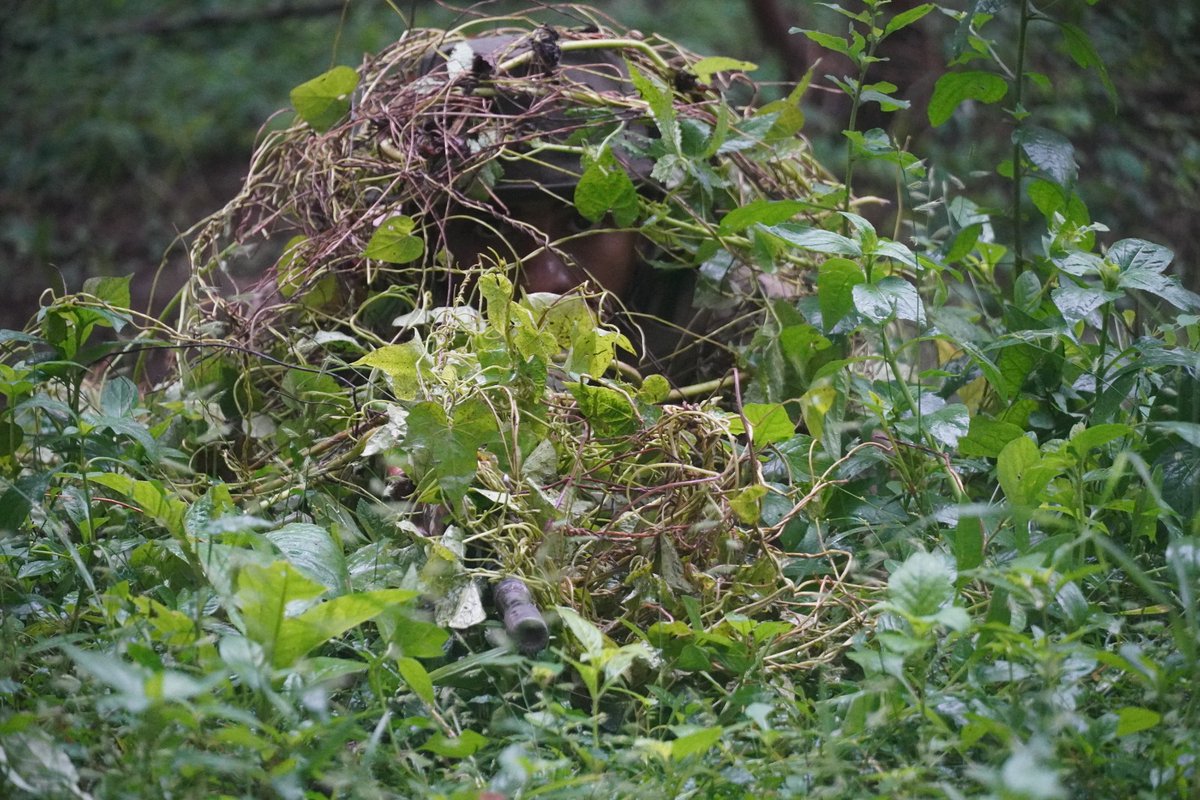 CISFTraining's tweet image. Specialized Field Craft &amp;amp; Camouflage Training at CISF RTC Bhilai!

Specialized training activities showcasing advanced field craft and camouflage techniques. Trainees undergo rigorous practice to enhance operational readiness, in challenging terrain conditions.
@CISFHQrs