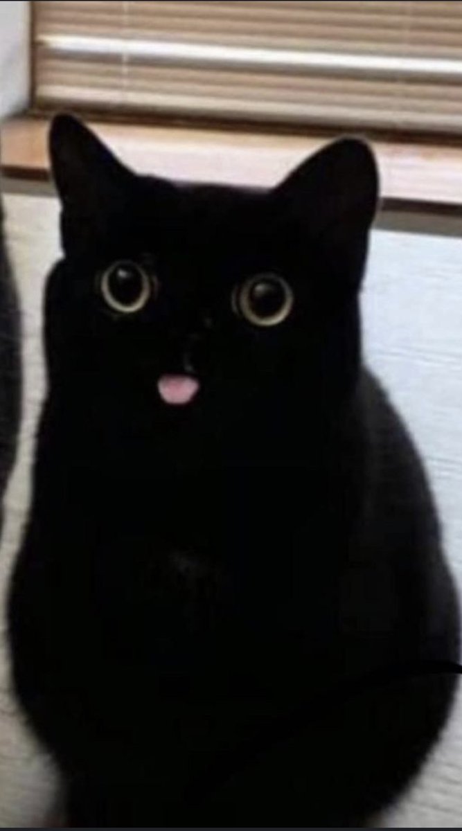 "gmonad" 

good luck today