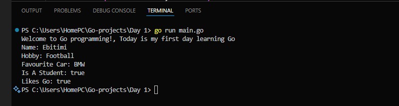 EbelikeEbitimi's tweet image. 🔥 Day 1 of Learning Go (Golang)!

Today I set up Go and wrote my first program.
I learned how variables work and created a simple function.
Excited for this journey — Backend Dev loading… 💻🚀
#Golang #100DaysOfCode #backenddevloper
