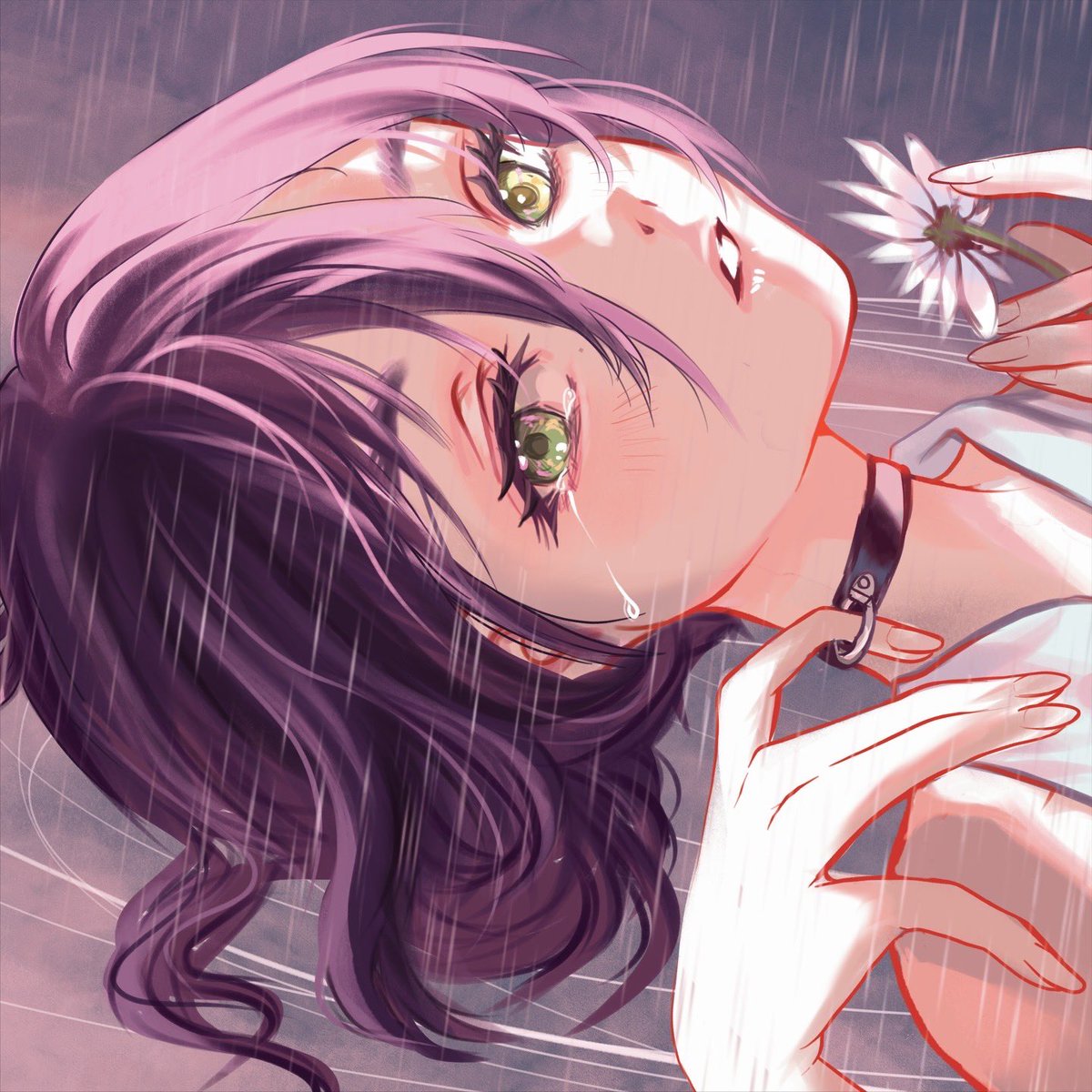 Celio 🌸 tweet media