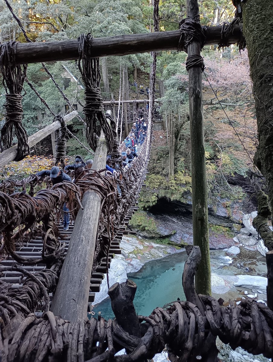 #四国特権
天下の名勝､渡ると怖い渡らなければ臆病者と言われるのが怖い…西祖谷かずら橋

⭐きみは青潭を見たか…25/11/23.こんど来たらばスマホも杖も置いて渡る気