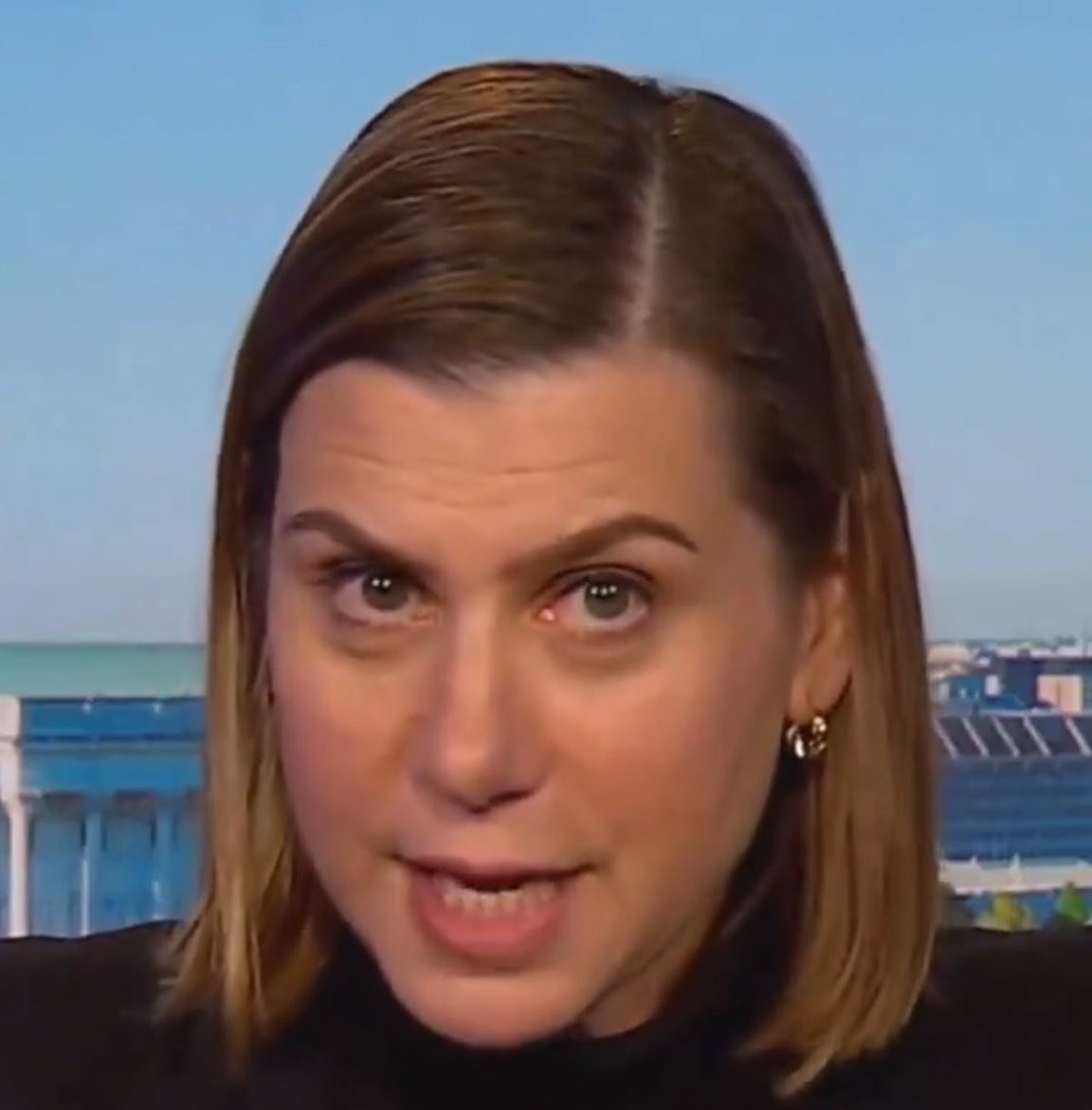 ABC: "Do you believe that President Trump has issued any illegal orders? "

SLOTKIN: "To my knowledge, I am not aware of things that are illegal."

This Dem just admitted they told members of the military to defy the President based on nothing. FAFO Time?

It’s time they FO now