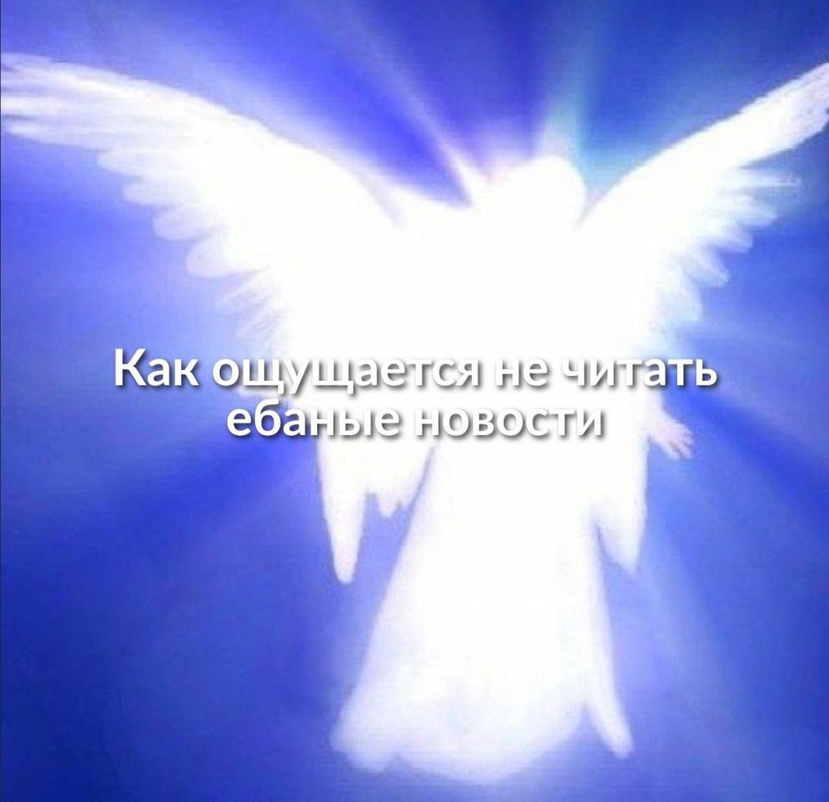 гемі🎐 (@gemi_softy) on Twitter photo 