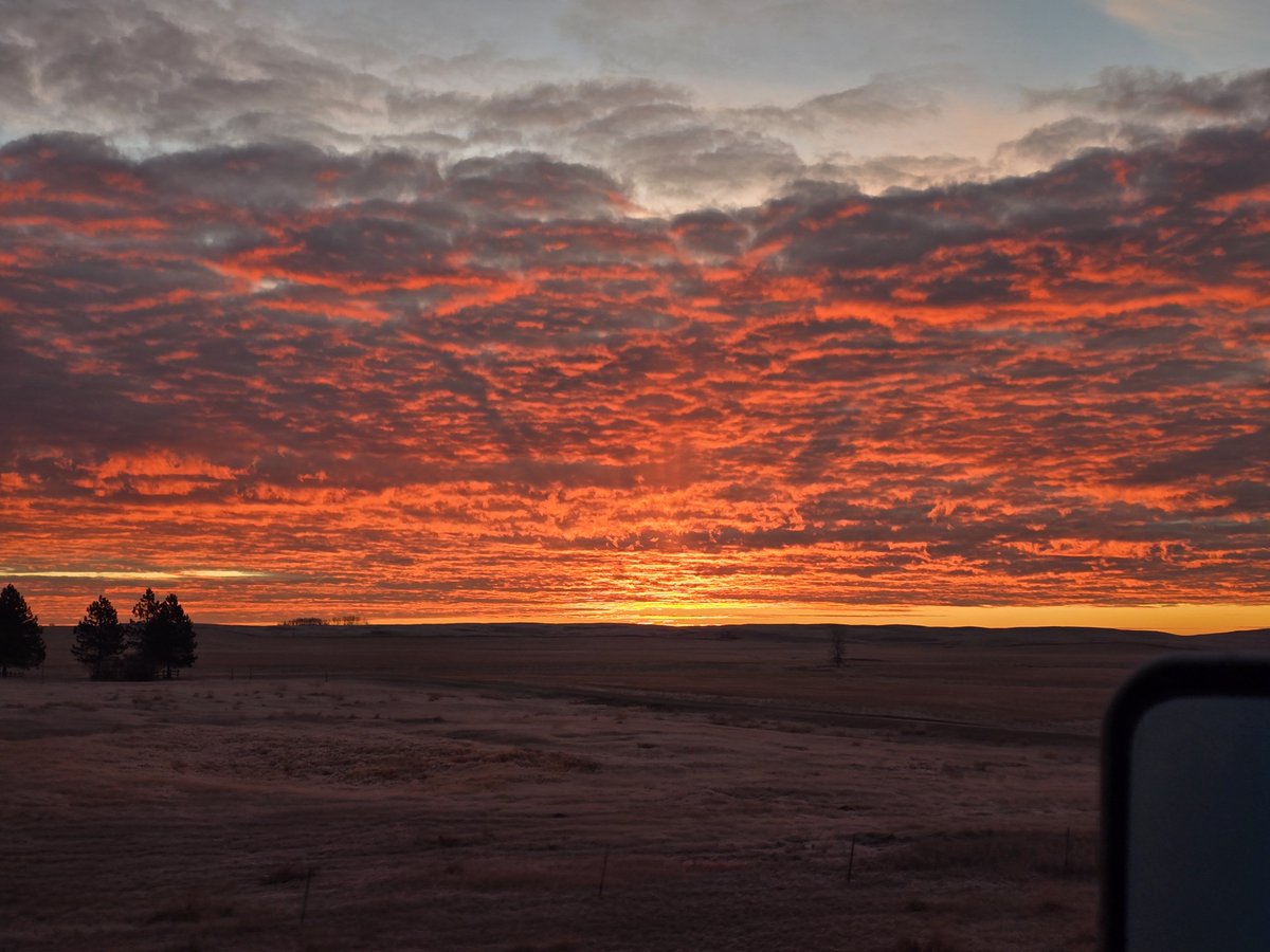 wpd1990's tweet image. Good morning. North Dakota sunrises are pretty good.