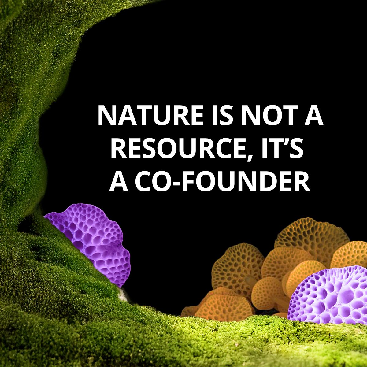 FungiAward's tweet image. Nature isn’t a resource — it’s a co-founder. 🍄
Fungi have been solving problems for a billion years, teaching us resilience, networks, and regeneration.
The best innovations happen when we collaborate with nature.
#FutureIsFungi #RegenerativeDesign