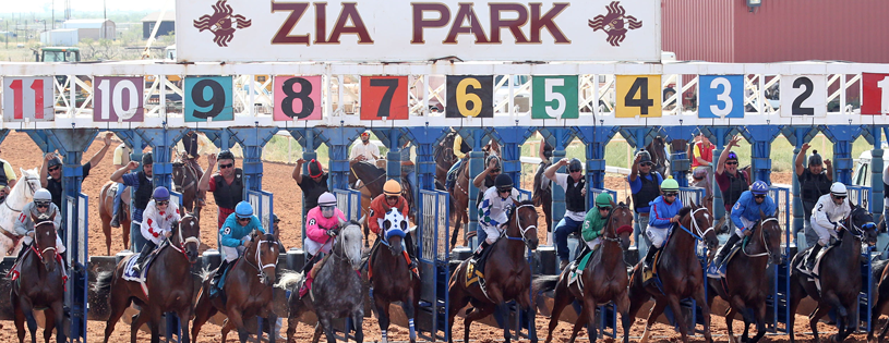 Monday is New Mexico Thoroughbred Classics Day at Zia Park! Seven stakes and over $1 million in purses! 
Watch and wager at Iron Bets!
#horseplayerfirst
ironbetsracing.com