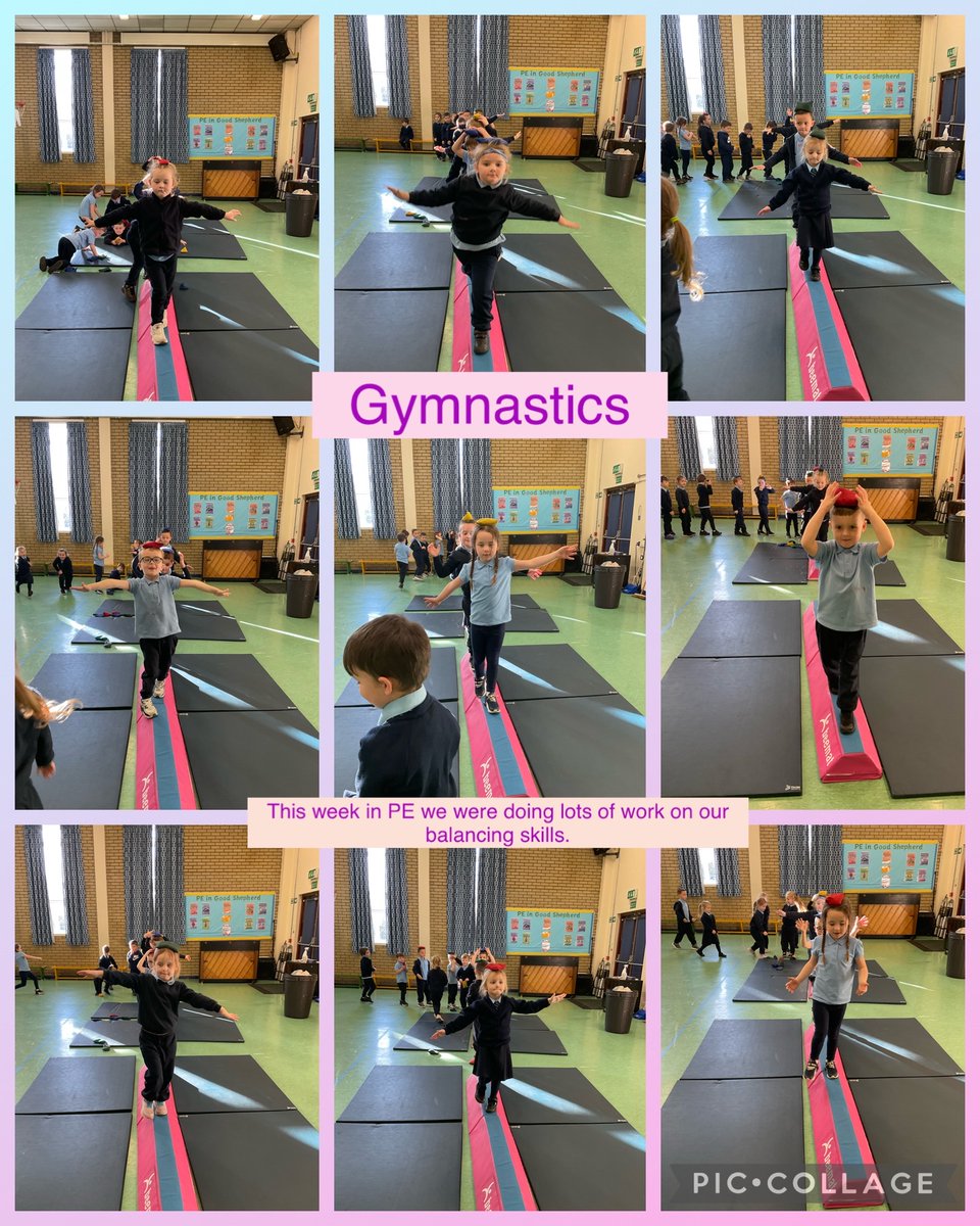 Good Shepherd Primary School tweet media