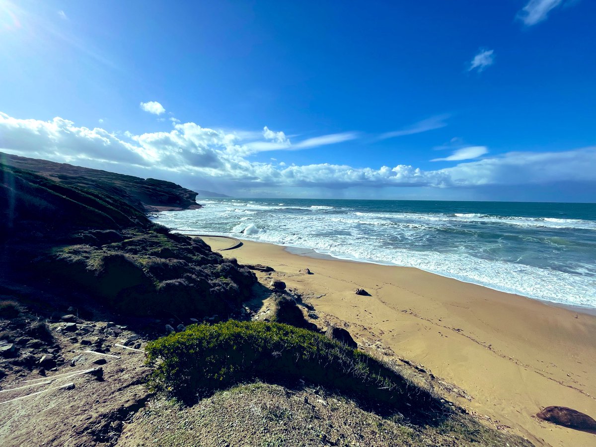 zmlsana's tweet image. …a taky o lásce již v černých květech máku přivezou jezdci na koních… broukám, polykám slzy a držím mu ruce, aby si neublížil. 
Tak nějak jedeme v cyklech. Vždy si myslím, že jsme se posunuli dál a ono se to vrátí jako bumerang.
#TSC