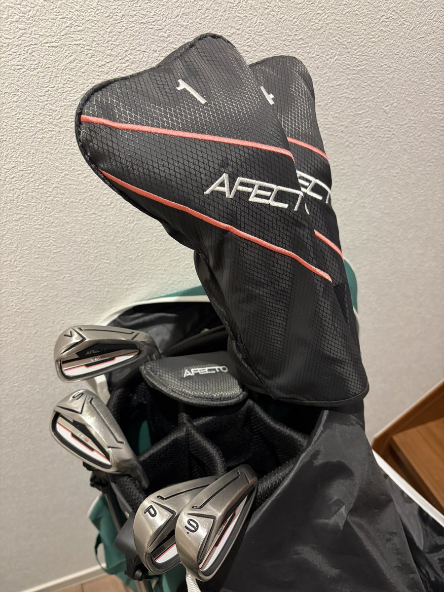 本日、ゴルフ仲間からレディースクラブセットキャディバック付きを不要