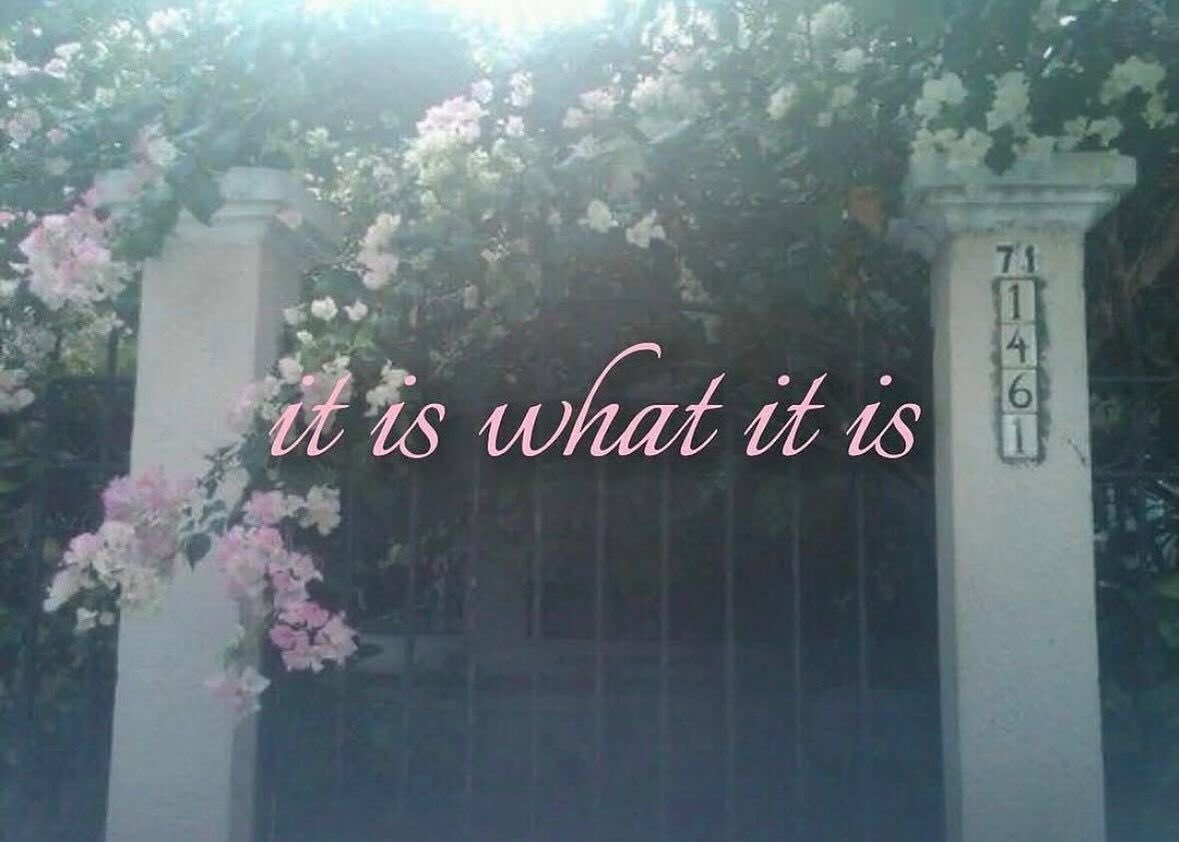 сьогодні план лежать, ригать і спать