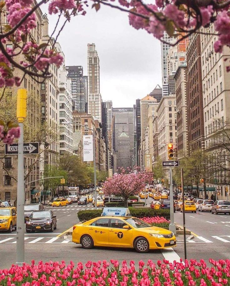 EduardoDIIAX's tweet image. #GoodMorning #vibes #aesthetic