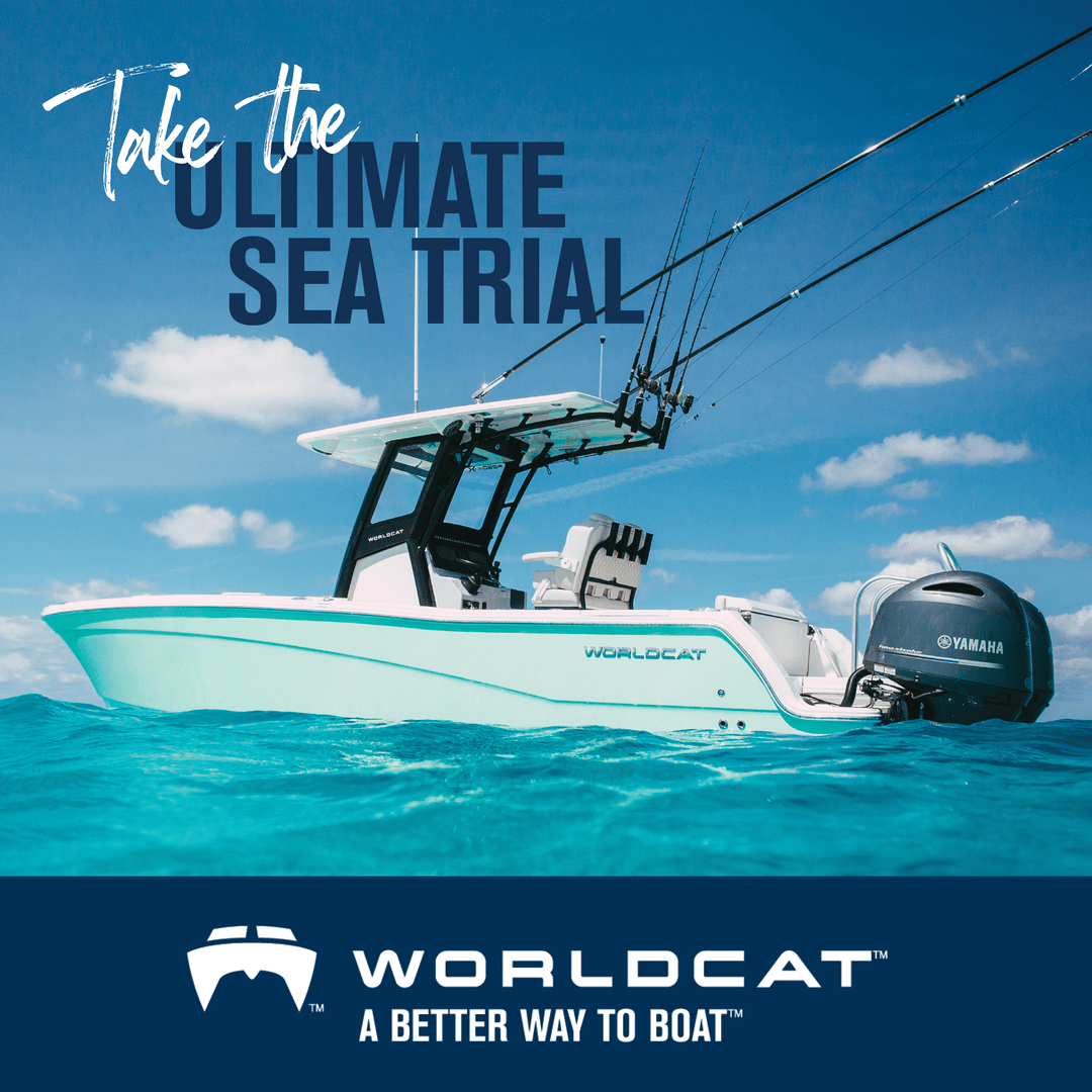 World Cat Boats tweet media