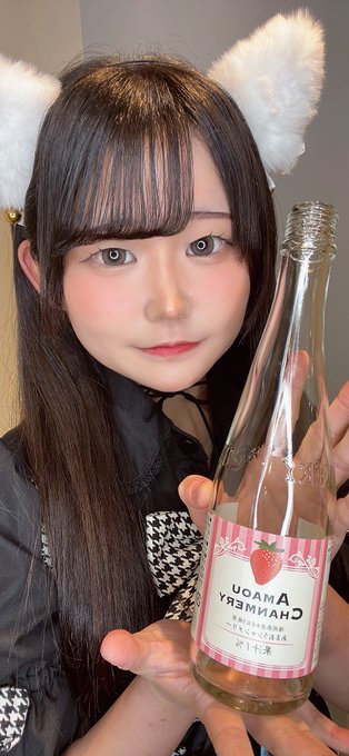 キャットウォーク Catwalkのツイート