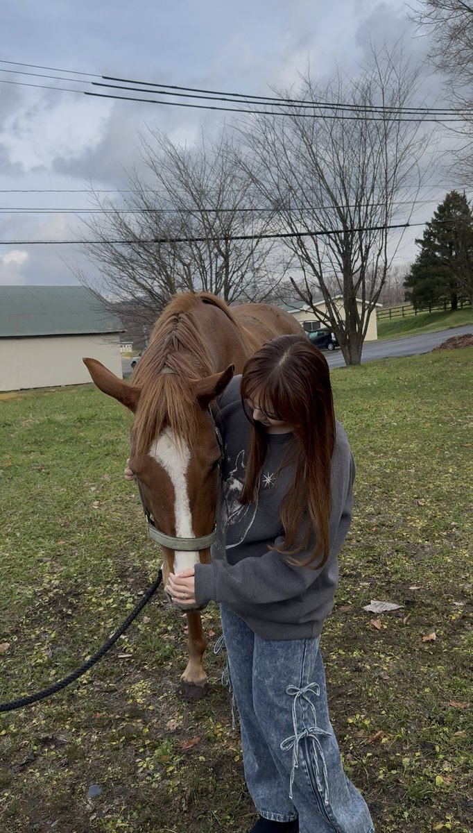 natsulove5103's tweet image. #村上欽哉牧場 さんお忙しい中ありがとうございました！
#アシタバ ちゃん🥹💓可愛すぎた😍
元気な子産んでね💖