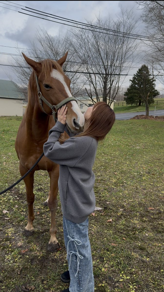 natsulove5103's tweet image. #村上欽哉牧場 さんお忙しい中ありがとうございました！
#アシタバ ちゃん🥹💓可愛すぎた😍
元気な子産んでね💖