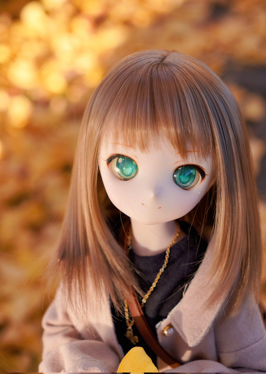 変わりゆく季節、きみと