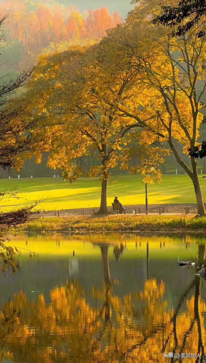 weizai84934144's tweet image. 杭州封神级别的秋天，超美