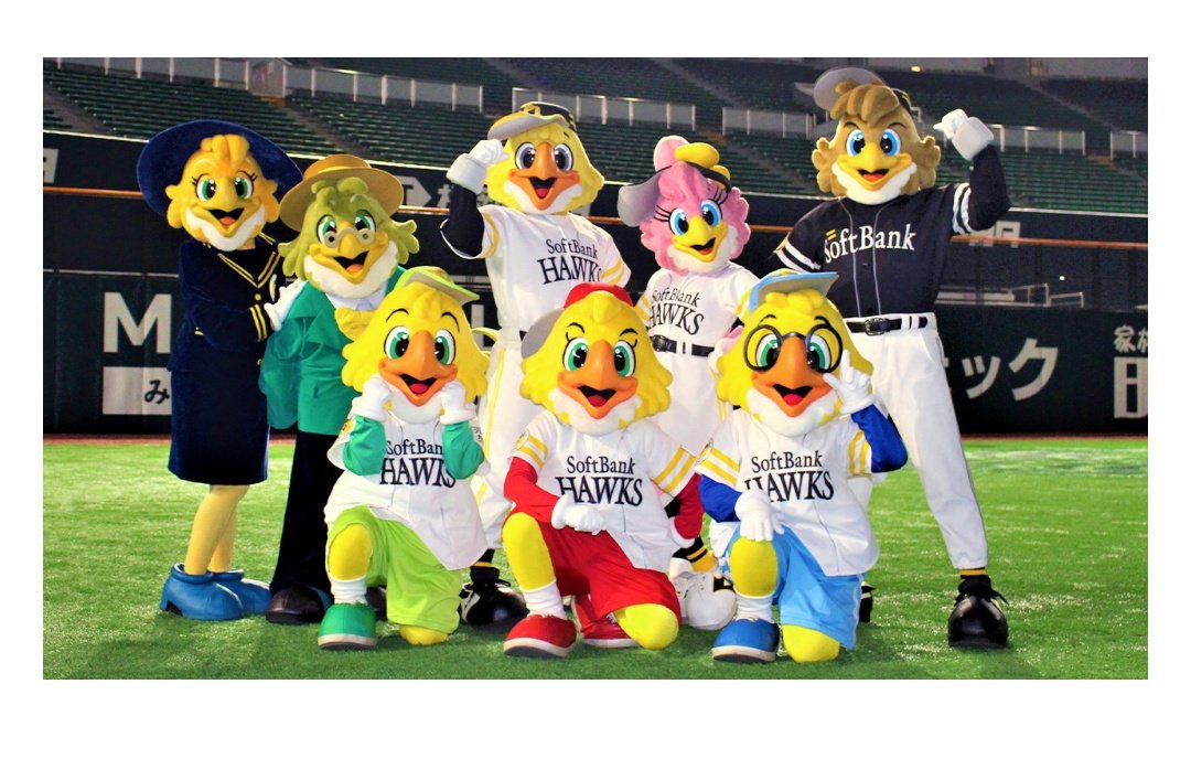 この鳥たちどこに消えたん？？