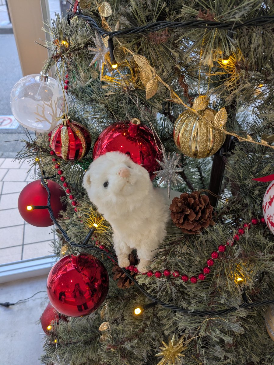 かーわいい！！