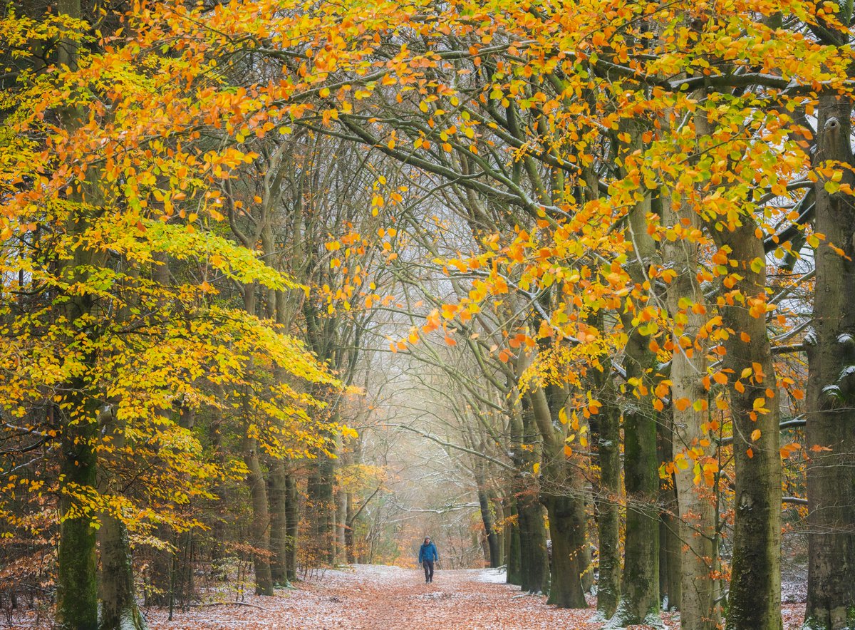 Albert Dros tweet media