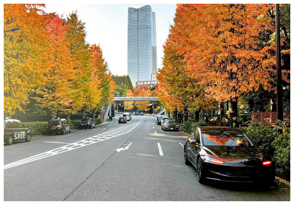 taktsla's tweet image. tesla model3 with autumn leaves in tokyo

#model3 #tesla #autumnleaves