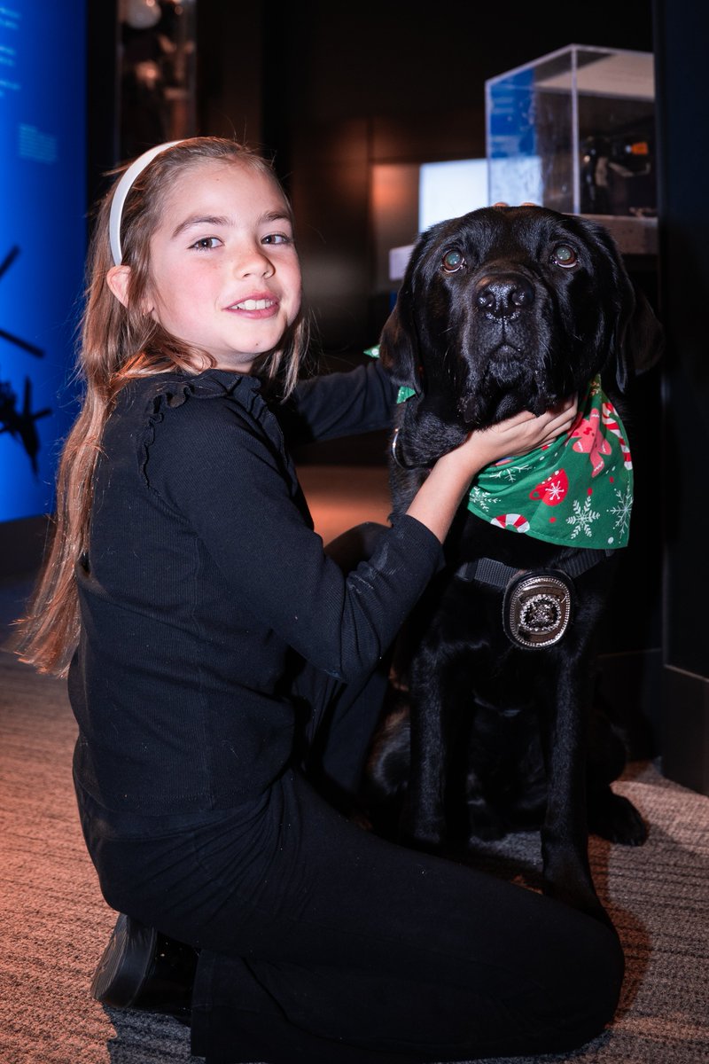 YouthLinkYYC's tweet image. This is just a hint at what you can expect at Holiday Hounds on December 13th with @PADSdogs and @CPSVAST ! Tickets are selling quick, buy now! youthlinkcalgary.com/holiday-hounds/