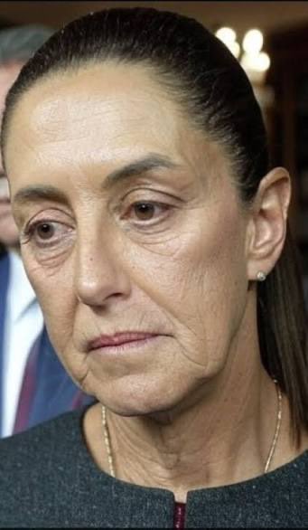 alif_aleph's tweet image. #claudiasheibaum morena #Bloqueo la cara de la derrota, solución a los #transportistas @Claudiashein