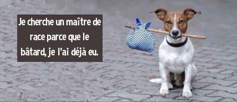 🇨🇵 Patrick 🇮🇹 ✨️✨️👀🌿🌿 (@ultralevure83) on Twitter photo 