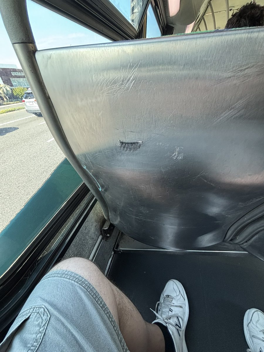 BearGraves's tweet photo. Probably a classic case of me laughing way harder than I had any business laughing, but seeing someone had stuck fake eyelashes to the back of a bus seat got me this morning! https://t.co/TfJM8I5D2v