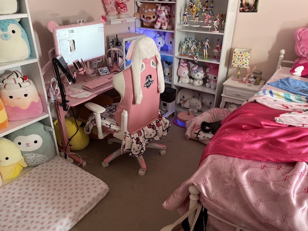 RosePetallia's tweet image. I love my cat so much I&apos;m rearranging my room so I can fit his new cat mattress in my room without taking away his couch