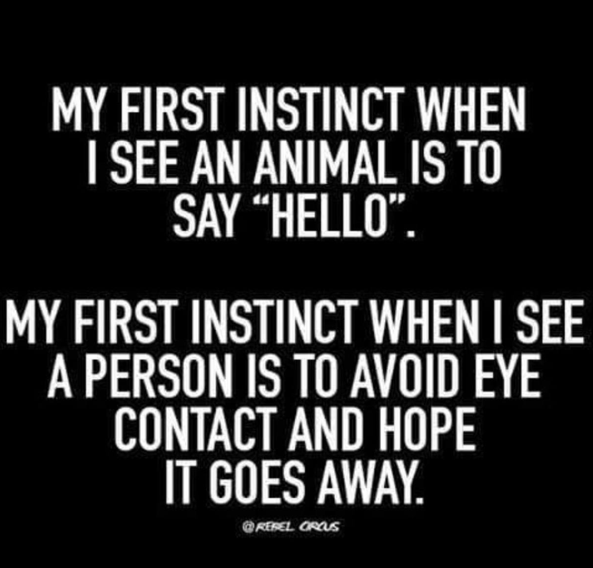 Jik The Real Estate Drolf 🇨🇦 tweet media