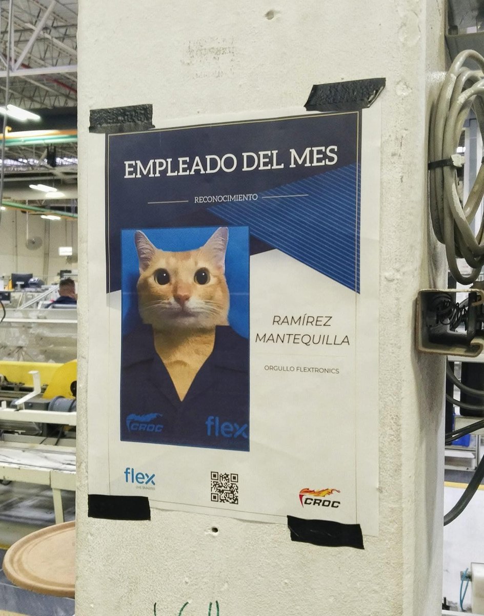 Animalesaprieto's tweet image. Ramírez Mantequilla