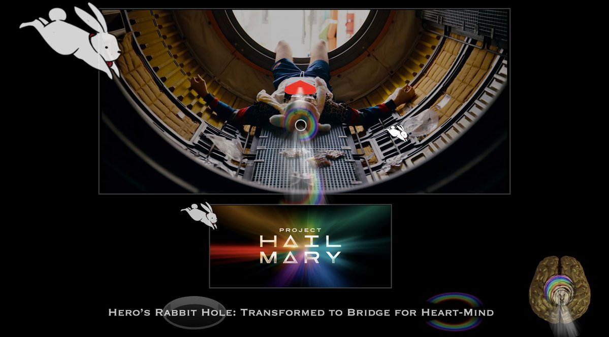 The_Bible_Code's tweet image. &quot;Project HAIL MARY&quot;(2025) 🎬:
@projecthailmary @philiplord @chrizmillr 
🧠/🔍
---🕳️/🌈
💗⚪️