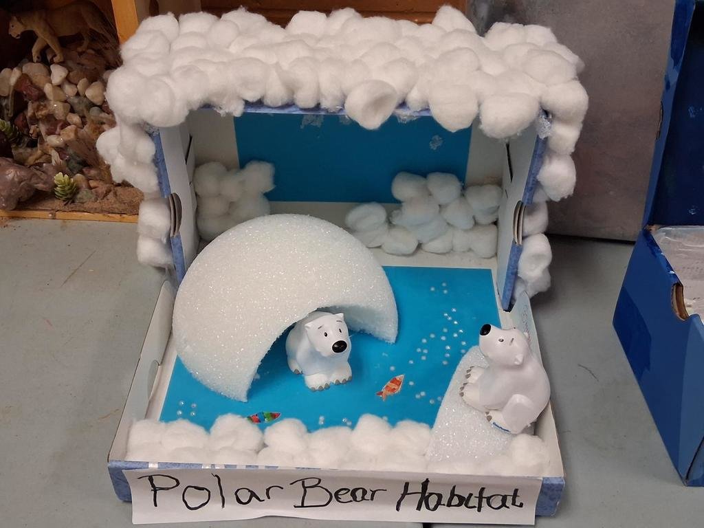 Caleb's Creek Elem tweet media