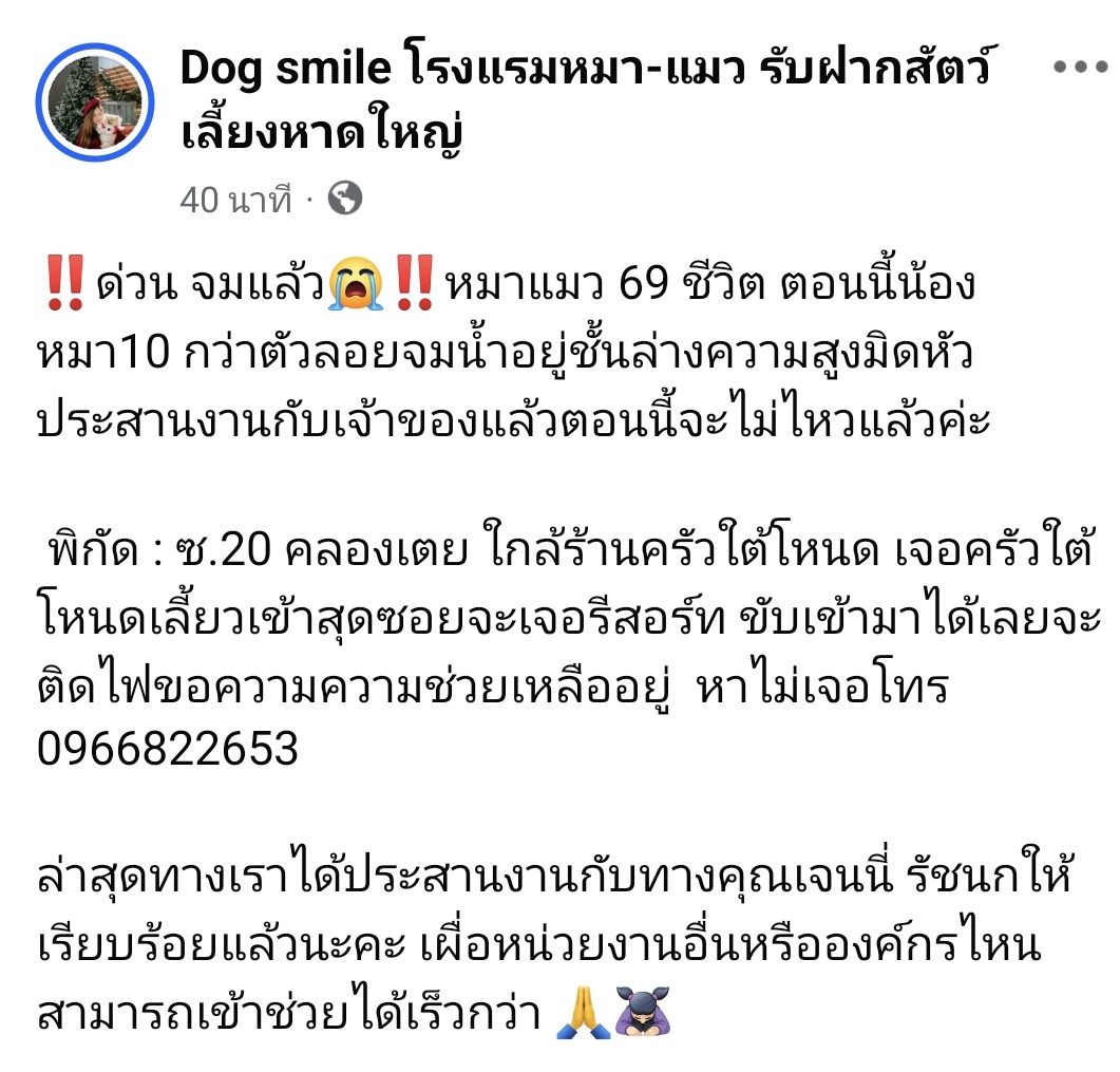 Tooktook Amazing~ชน์~• tweet media