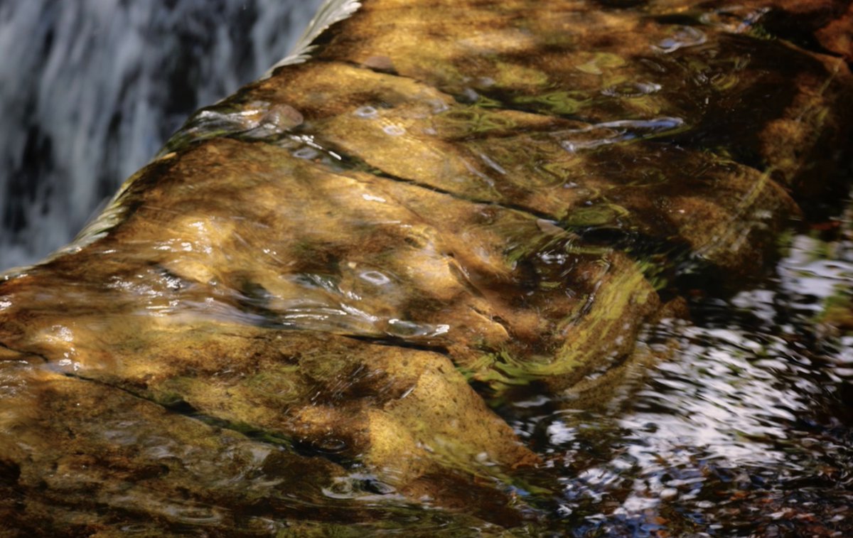 Creative Renfrewshire tweet media