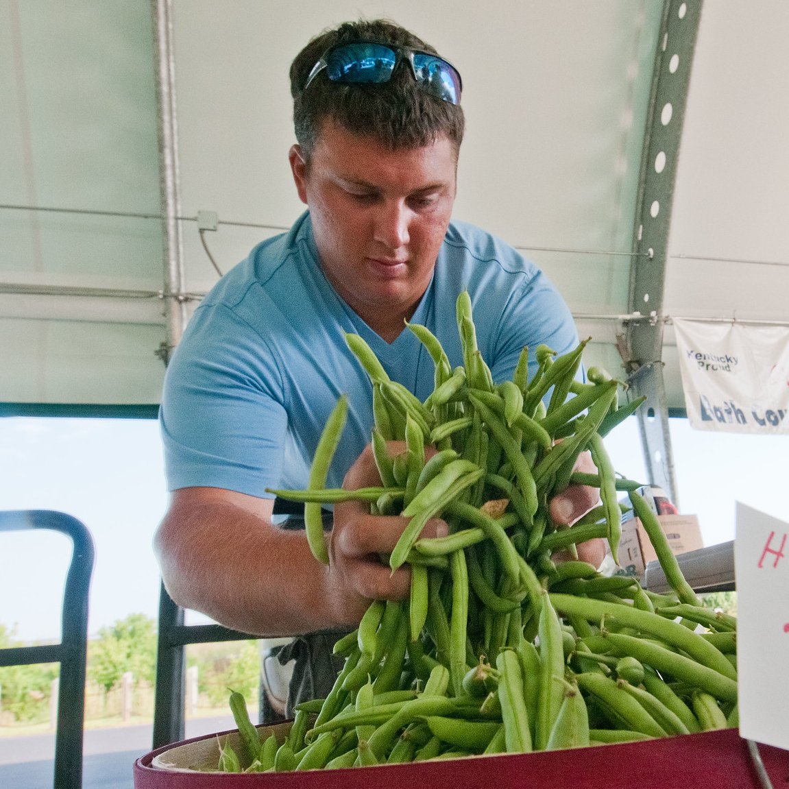 USDA's tweet image. Don&apos;t forget the veggies! American farmers brought in 1.1 billion pounds of green beans and 5.2 billion pounds of sweet corn in 2024! 🫛🌽 #Thanksgiving