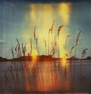 analog_fine_art's tweet image. Presence by Dan Isaac Wallin